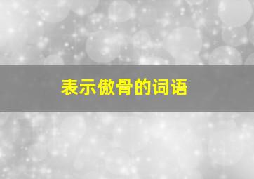 表示傲骨的词语