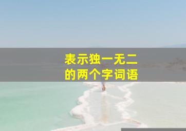 表示独一无二的两个字词语