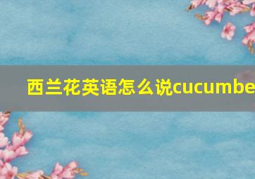 西兰花英语怎么说cucumber