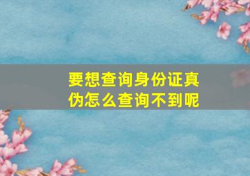 要想查询身份证真伪怎么查询不到呢