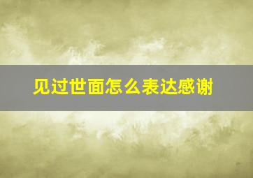 见过世面怎么表达感谢