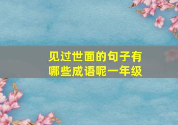 见过世面的句子有哪些成语呢一年级