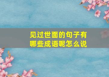 见过世面的句子有哪些成语呢怎么说