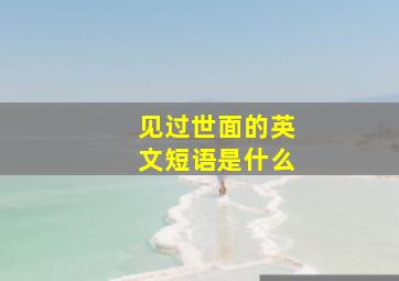 见过世面的英文短语是什么