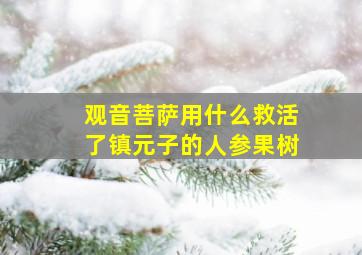 观音菩萨用什么救活了镇元子的人参果树