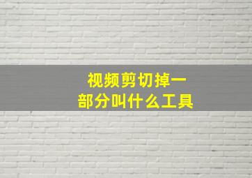 视频剪切掉一部分叫什么工具