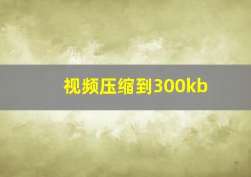 视频压缩到300kb