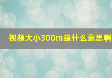 视频大小300m是什么意思啊