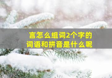 言怎么组词2个字的词语和拼音是什么呢