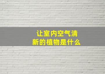 让室内空气清新的植物是什么