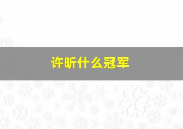 许昕什么冠军