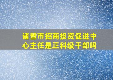 诸暨市招商投资促进中心主任是正科级干部吗