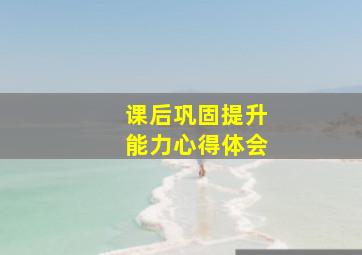 课后巩固提升能力心得体会