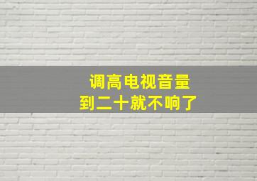 调高电视音量到二十就不响了