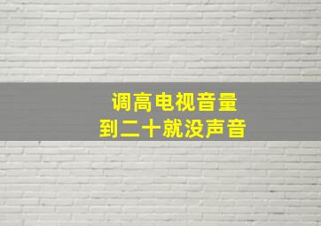 调高电视音量到二十就没声音