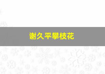 谢久平攀枝花