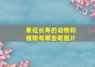 象征长寿的动物和植物有哪些呢图片