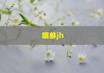 貔貅jh