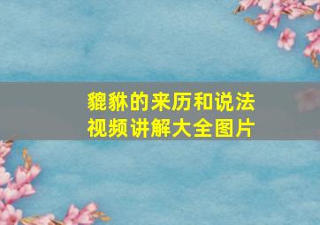 貔貅的来历和说法视频讲解大全图片