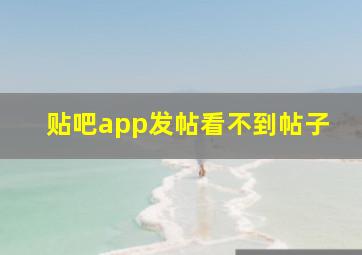 贴吧app发帖看不到帖子