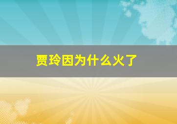 贾玲因为什么火了