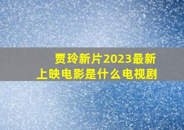 贾玲新片2023最新上映电影是什么电视剧