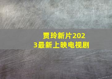 贾玲新片2023最新上映电视剧