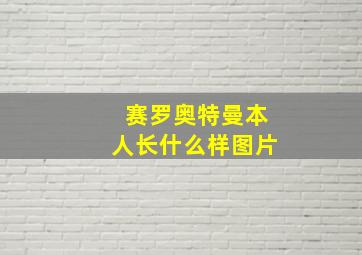 赛罗奥特曼本人长什么样图片