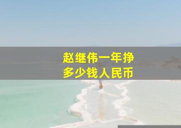 赵继伟一年挣多少钱人民币