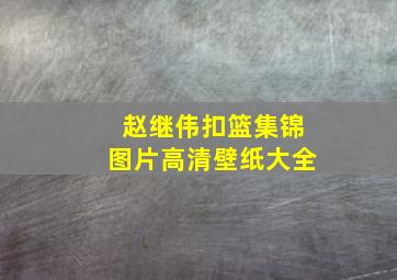 赵继伟扣篮集锦图片高清壁纸大全