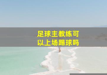 足球主教练可以上场踢球吗