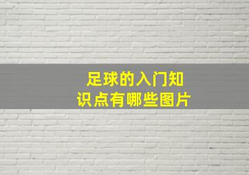 足球的入门知识点有哪些图片