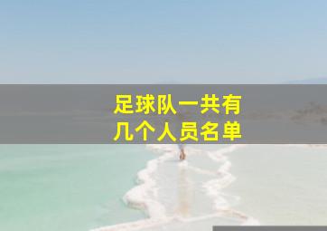 足球队一共有几个人员名单