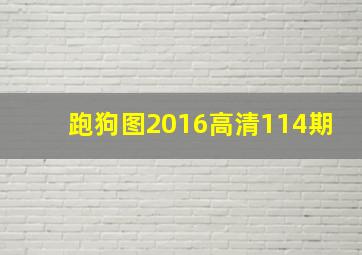 跑狗图2016高清114期