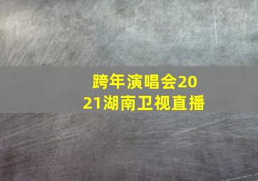 跨年演唱会2021湖南卫视直播