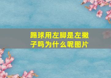 踢球用左脚是左撇子吗为什么呢图片