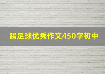 踢足球优秀作文450字初中