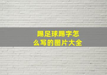 踢足球踢字怎么写的图片大全