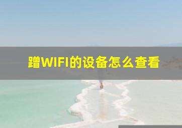 蹭WIFI的设备怎么查看