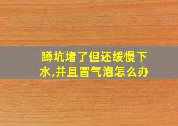 蹲坑堵了但还缓慢下水,并且冒气泡怎么办