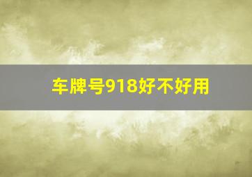 车牌号918好不好用