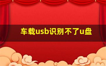 车载usb识别不了u盘