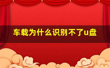 车载为什么识别不了u盘