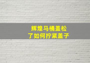 辉煌马桶盖松了如何拧紧盖子