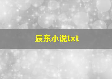 辰东小说txt