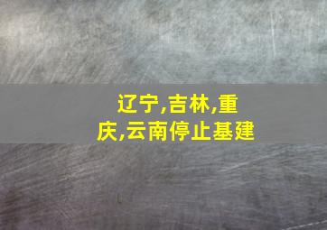 辽宁,吉林,重庆,云南停止基建