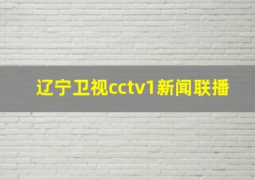 辽宁卫视cctv1新闻联播