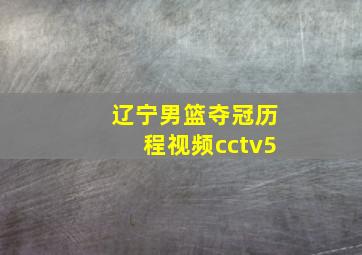 辽宁男篮夺冠历程视频cctv5