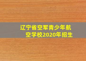 辽宁省空军青少年航空学校2020年招生