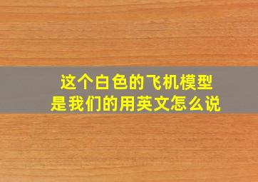 这个白色的飞机模型是我们的用英文怎么说